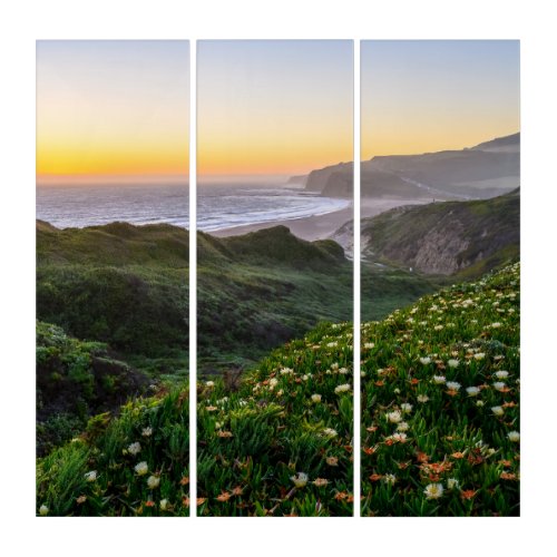 Flowers  Santa Cruz California Triptych