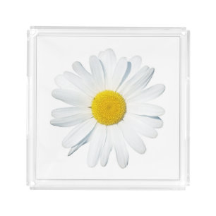 Flowers Single Daisy Acrylic Tray