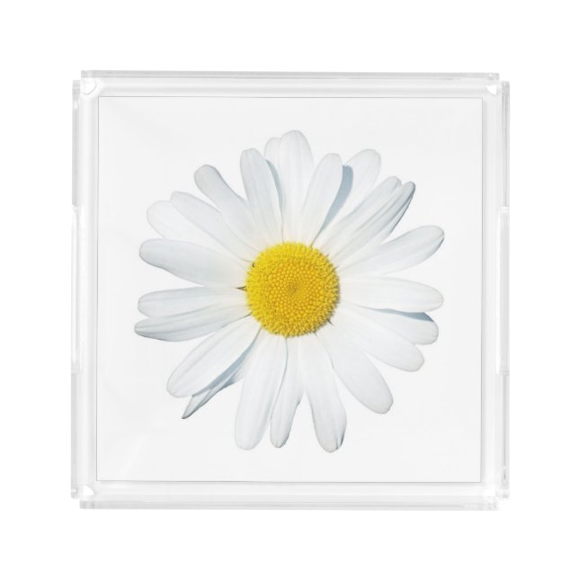 Flowers | Single Daisy Acrylic Tray (Front)