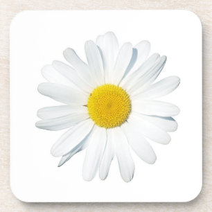 Flowers Single Daisy Beverage Coaster