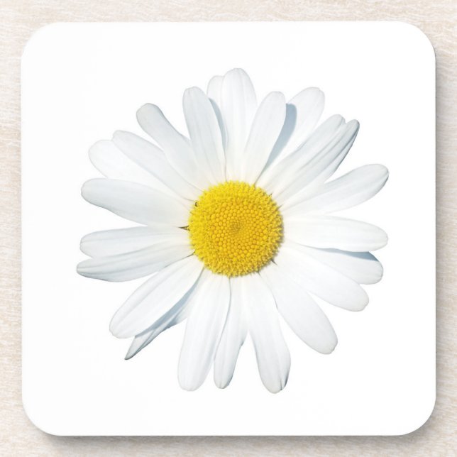 Flowers | Single Daisy Beverage Coaster (Front)
