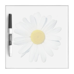 Flowers   Single Daisy Dry Erase Board