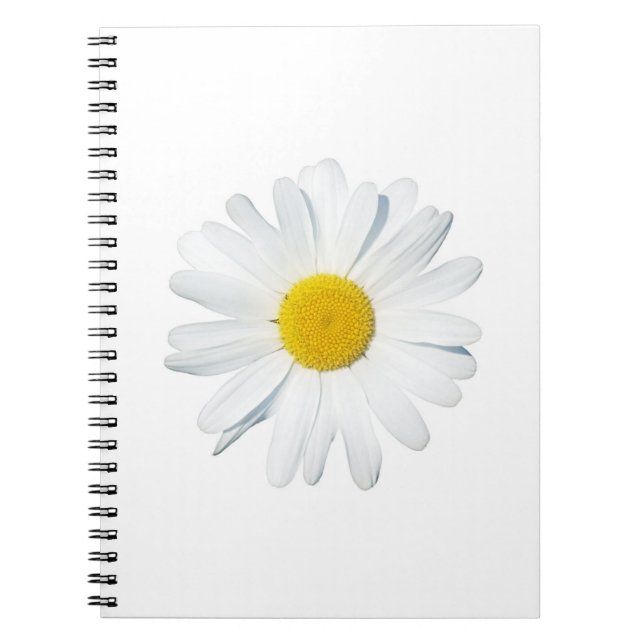 Flowers | Single Daisy Notebook (Front)