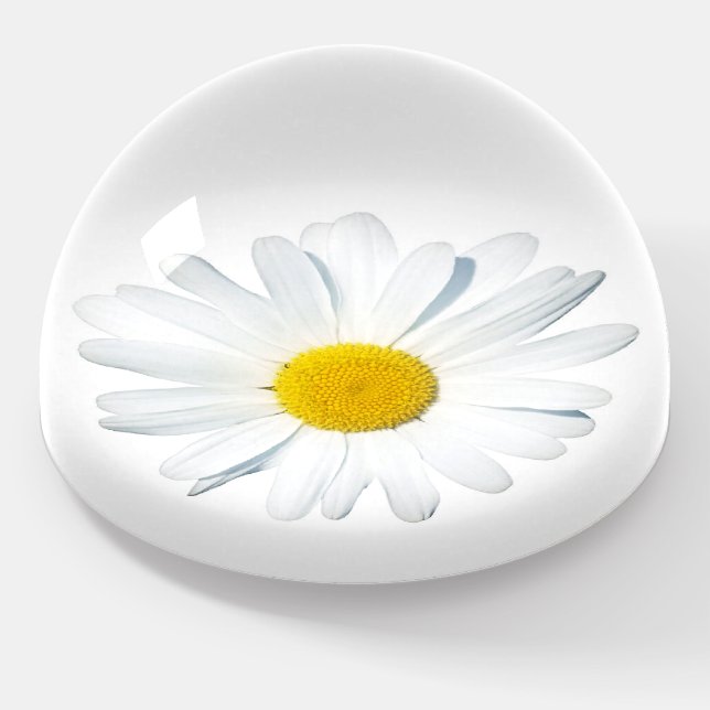 Flowers | Single Daisy Paperweight (Angled)