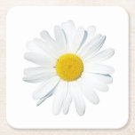 Flowers | Single Daisy Square Paper Coaster<br><div class="desc">This amazing Getty Images photo features a single white daisy blossom.</div>