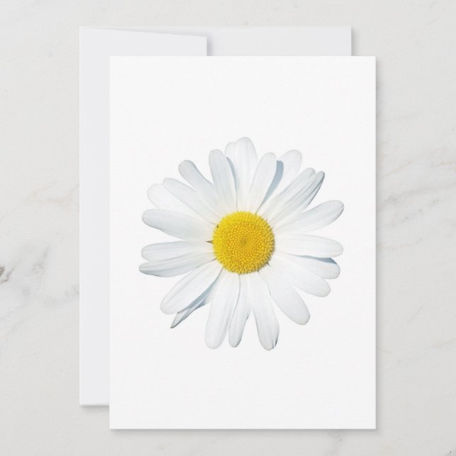 Flowers | Single Daisy Thank You Card (Front)