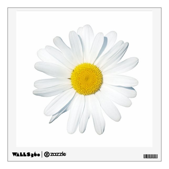 Flowers | Single Daisy Wall Decal (Front)