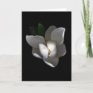 Flowers   Single White Magnolia Blossom Card