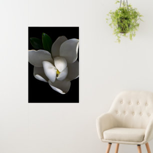 Flowers   Single White Magnolia Blossom Foam Board