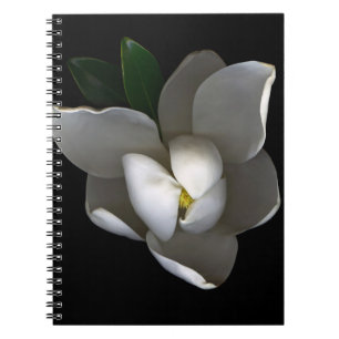 Flowers   Single White Magnolia Blossom Notebook