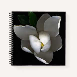 Flowers   Single White Magnolia Blossom Notebook