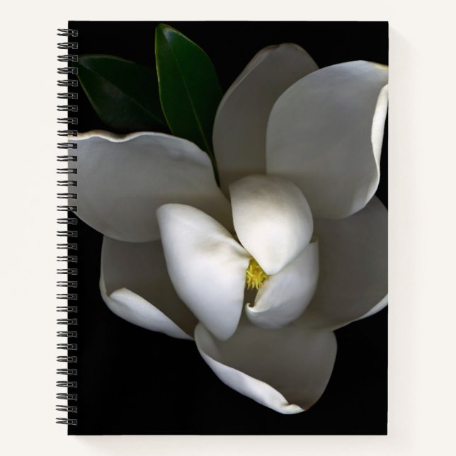 Flowers | Single White Magnolia Blossom Notebook (Front)