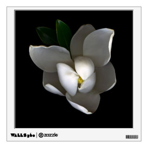 Flowers   Single White Magnolia Blossom Wall Decal