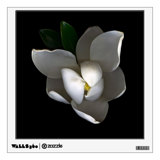 Flowers | Single White Magnolia Blossom Wall Decal (Front)