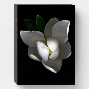 Flowers Single White Magnolia Blossom Wooden Box Sign