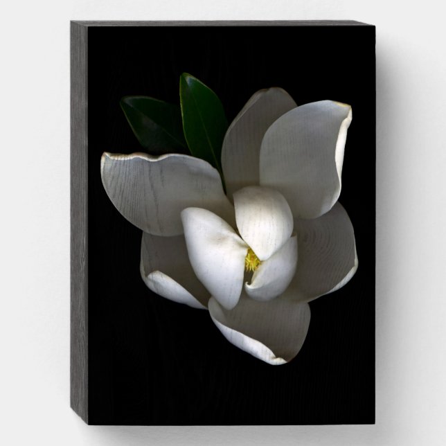 Flowers | Single White Magnolia Blossom Wooden Box Sign (Front Vertical)