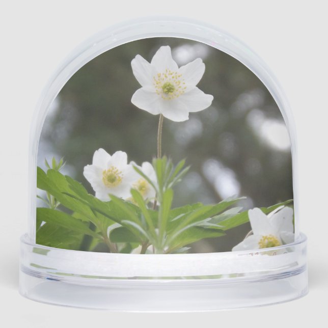 flowers snow globe (Front)