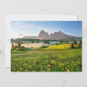 Flowers   Spring Alpe di Siusi Langkofel Thank You Card