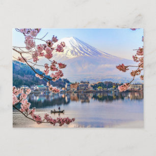 Flowers Spring Cherry Blossoms Japan Postcard