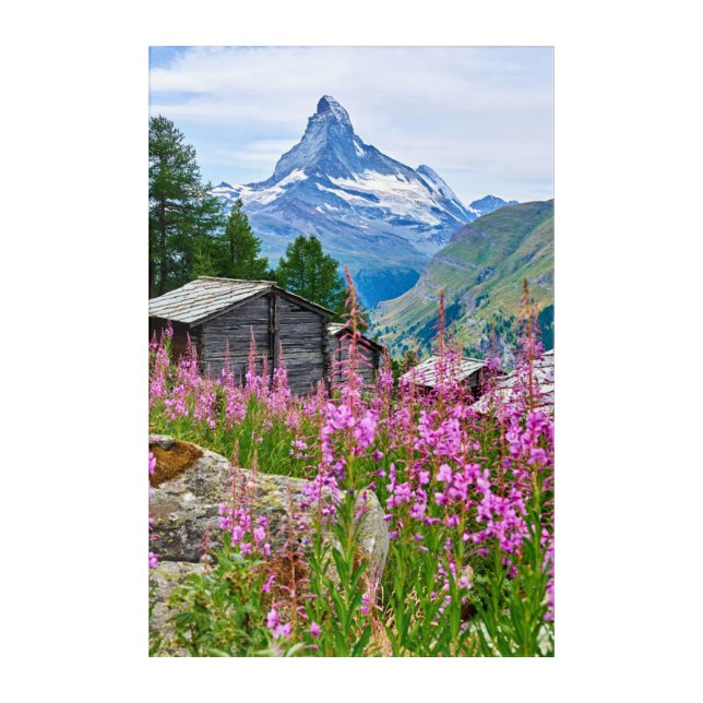 Flowers | Summer Matterhorn Switzerland Acrylic Print (Front)