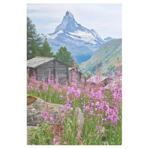 Flowers Summer Matterhorn Switzerland Gallery Wrap