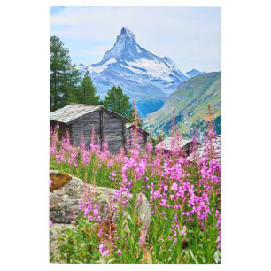 Flowers Summer Matterhorn Switzerland Metal Print