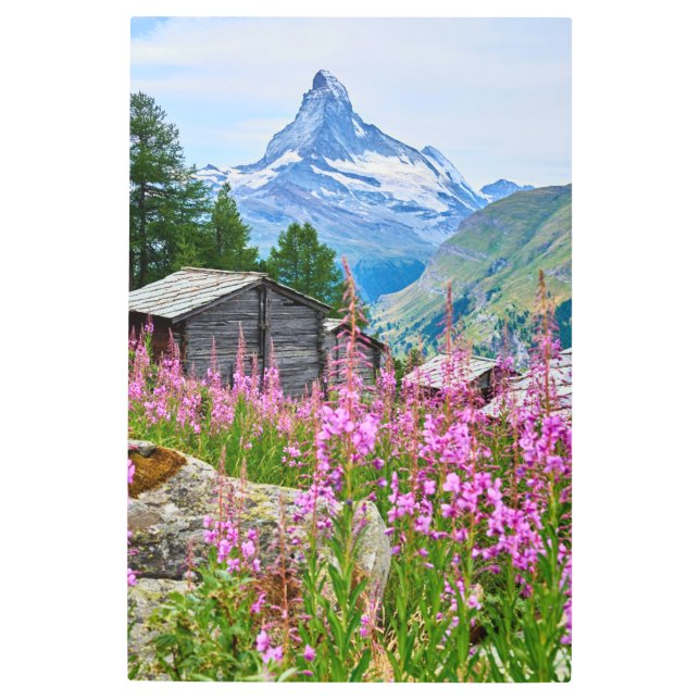 Flowers | Summer Matterhorn Switzerland Metal Print (Front)