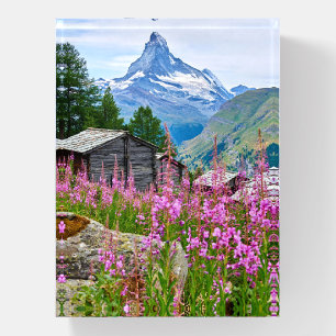Flowers   Summer Matterhorn Switzerland Paperweight