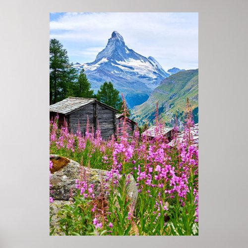 Flowers  Summer Matterhorn Switzerland Poster