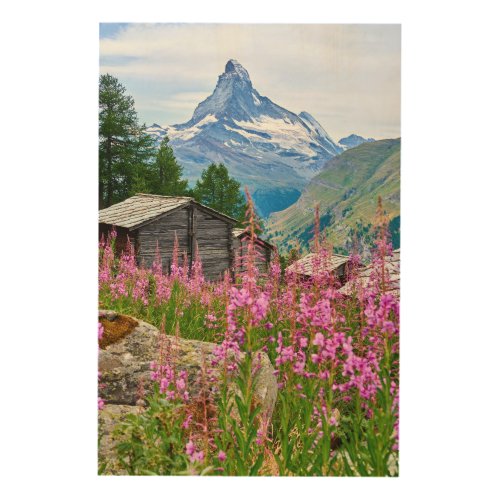 Flowers  Summer Matterhorn Switzerland Wood Wall Art