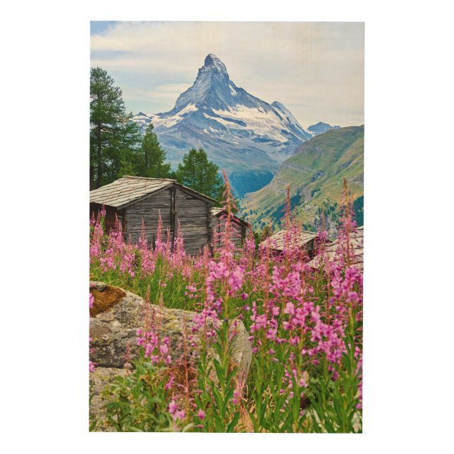 Flowers | Summer Matterhorn Switzerland Wood Wall Art (Front)
