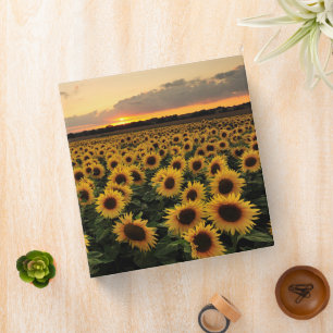 Flowers Sunflower Field 3 Ring Binder
