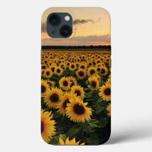 Flowers   Sunflower Field iPhone 13 Case