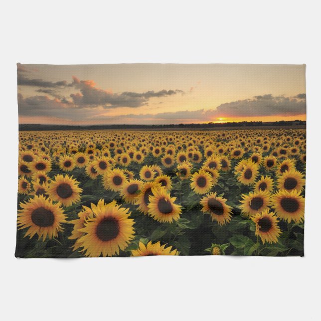 Flowers | Sunflower Field Kitchen Towel (Horizontal)