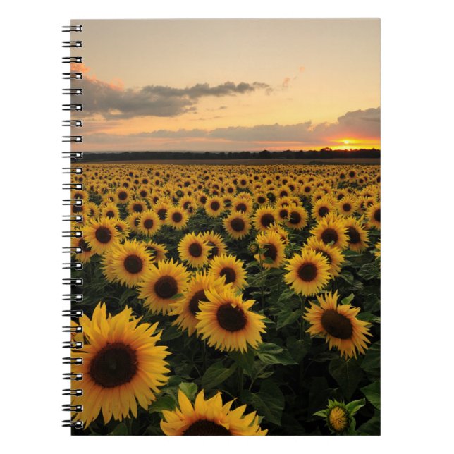 Flowers | Sunflower Field Notebook (Front)