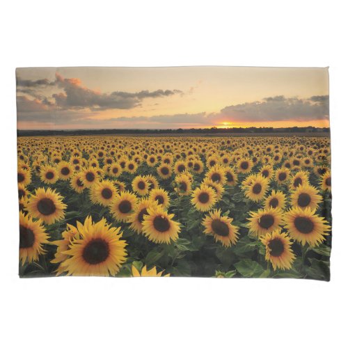 Flowers  Sunflower Field Pillow Case