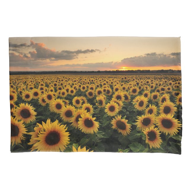 Flowers | Sunflower Field Pillow Case (Front)