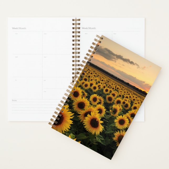 Flowers | Sunflower Field Planner (Display)