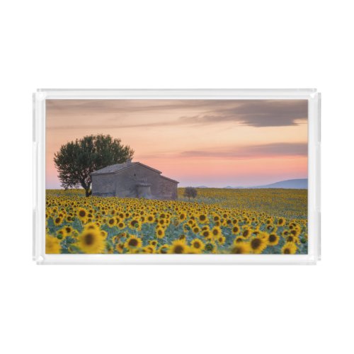 Flowers  Sunflower Field Provence France Acrylic Tray