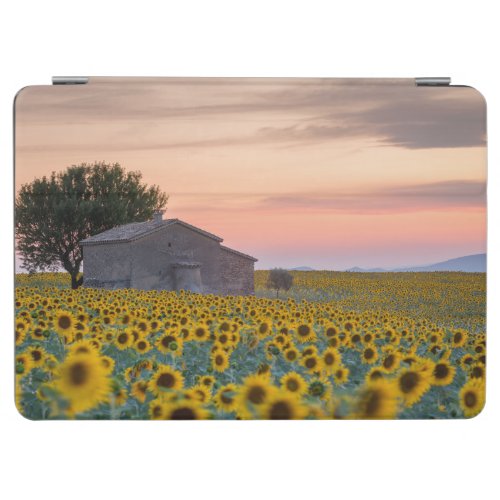 Flowers  Sunflower Field Provence France iPad Air Cover