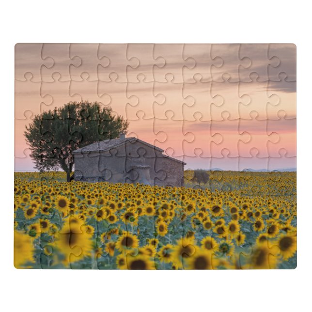 Flowers | Sunflower Field Provence, France Jigsaw Puzzle (Puzzle Horizontal)