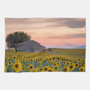 Flowers   Sunflower Field Provence, France Kitchen Towel