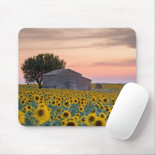 Flowers  Sunflower Field Provence France Mouse Pad