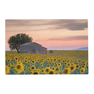 Flowers   Sunflower Field Provence, France Placemat