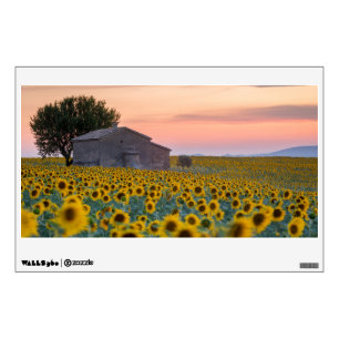 Flowers Sunflower Field Provence, France Wall Decal