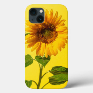 Flowers Sunflower on Yellow iPhone 13 Case