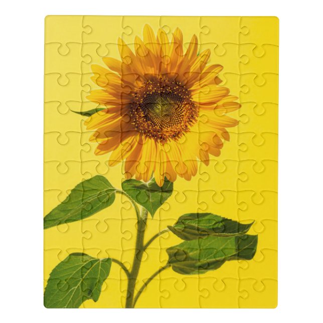 Flowers | Sunflower on Yellow Jigsaw Puzzle (Puzzle Vertical)