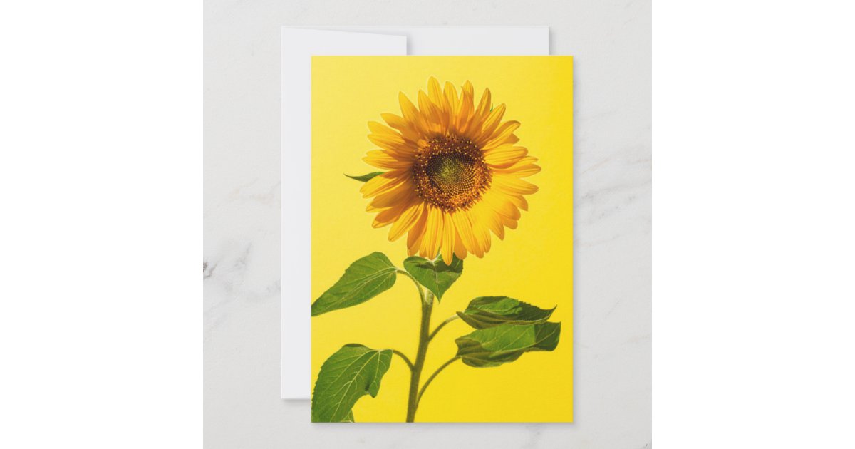 Flowers | Sunflower on Yellow Thank You Card | Zazzle