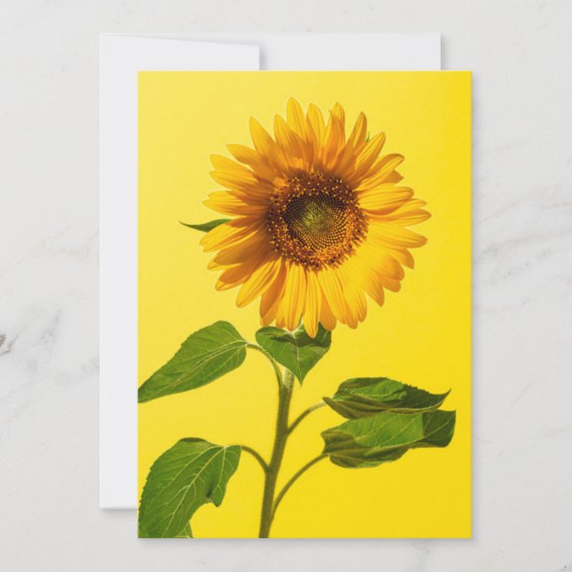 Flowers | Sunflower on Yellow Thank You Card (Front)