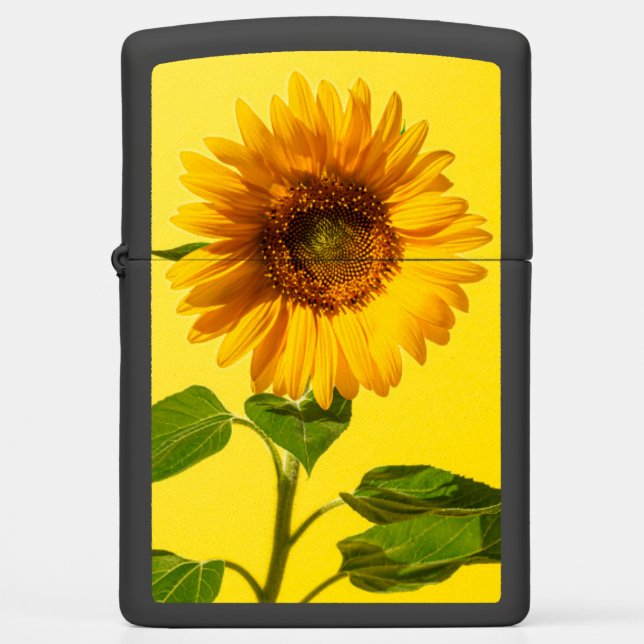 Flowers | Sunflower on Yellow Zippo Lighter (Front)
